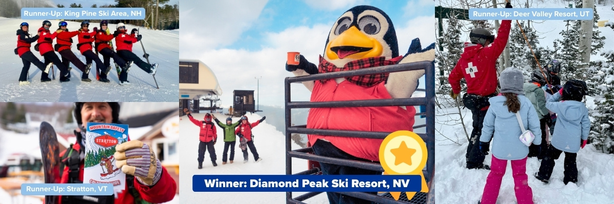 2025 photo contest winner and runner-ups